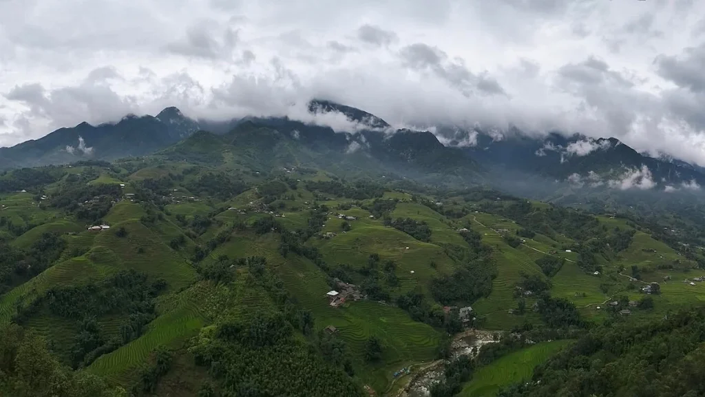A scenic view of the peaceful, untouched terraced rice fields and flowing stream in Y Linh Ho village, Sapa.