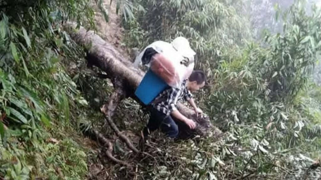 A local Hmong mountain porter carrying heavy trekking gear on a steep, misty trail in Sapa mountains.